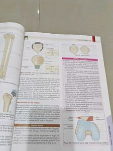 Human Anatomy Textbook - Volume 2, 6th Edition