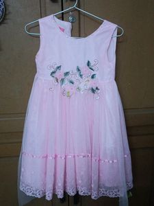 Beautiful Party Wear Pink Frock