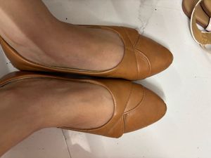 Formal Brown Bellies