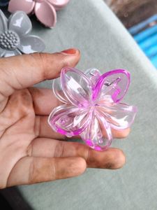 Hair Accessories