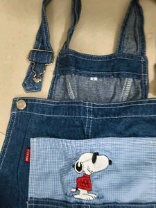 Short Dangri