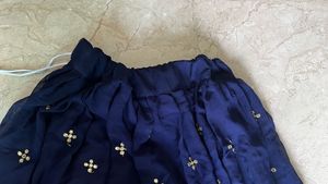 Navy Blue Lehenga Choli Set