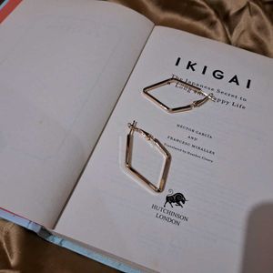 Rose Gold Geometric Hoop Earrings