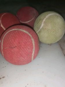 balls all are branded Maruti Cosco and nivia