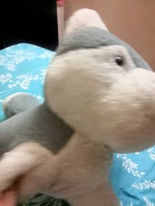 A Big Cat Soft Toy..It&#39;s Like. New ...