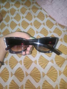 Cat Eye Sunglasses