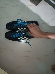 Adidas Football Studs (Sneaker)