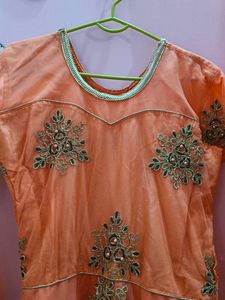 Net Embroidered Gown.