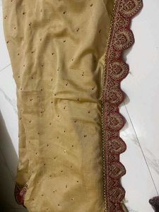 Elegant Sari with Intricate Border
