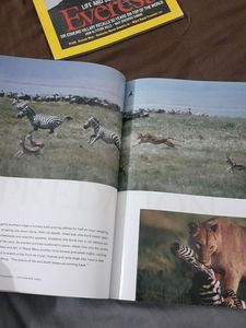 National Geographic Magazine September 2003 Issue