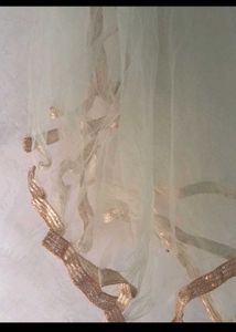 Elegant Lehenga Choli