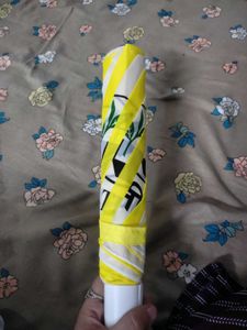 Pack Of 1 Umbrella New No Coin I Have So Many