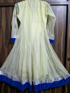 Elegant Embroidered Anarkali Dress