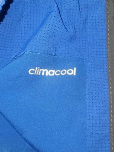 Adidas Blue Shorts
