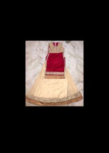 Suit Skirt Velvet And Net