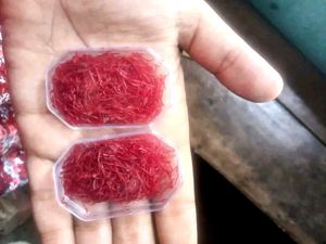 Buy One Get 1 Free Pure Healthy Saffron