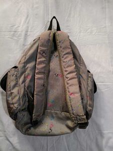 Stylish Skraybags Backpack