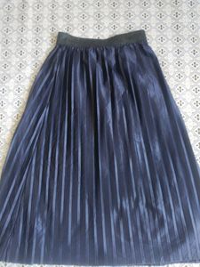 Dark Blue Skirt
