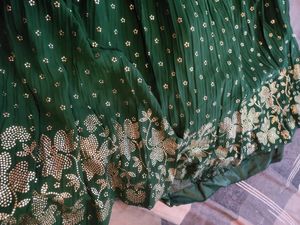 Green Lehenga Choli