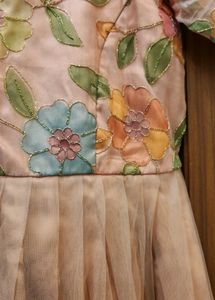 Organza Net Ethnic Long Dress