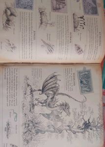 Draganology Book