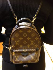 ask before- Louis Vuitton Mini Backpack