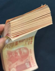₹20 Rupee Note Bundle