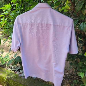 Neat and Clean Used Shirts
