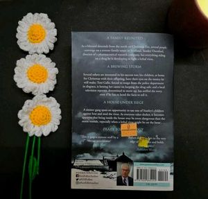 Novel