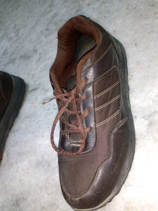 Asian Exclusive Brown Casual Shoes