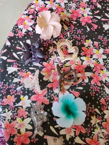 Hair Clip Bundle[New]