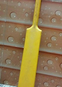 Hard Plastic Bat