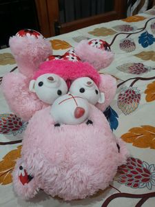 Teddy