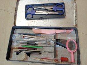 Camel Scholar Dissection Instruments