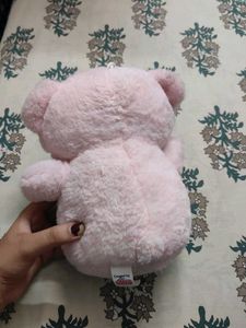 Pink Teddy Bear