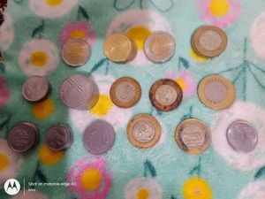 Some Unique Coins