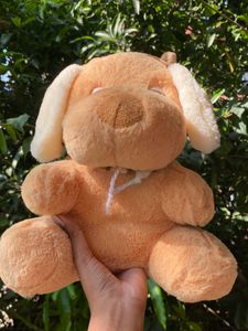 Teddy Bear