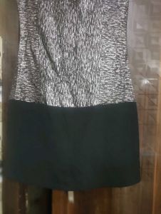 Chic Two-Tone Dress