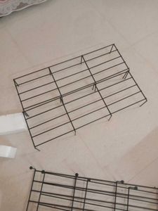Pot Stand 2 With 1 Brahmkamal plant