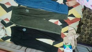 Combo Of 5 Trouser