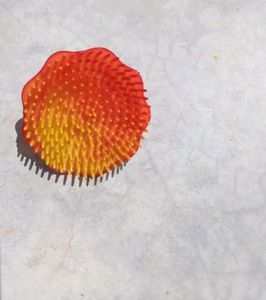 Hair Scalp Massager Shampoo Brush for Men &amp; Women