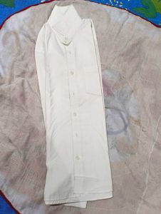 Mens Shirt- Regular Fit-36 Cm
