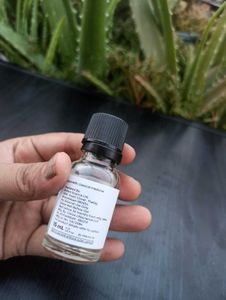 Rosemary Essential Oil