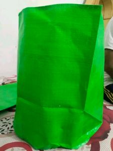 Green Plant Container