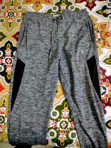 Gray & Black Pant