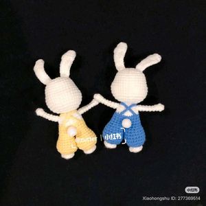 Crochet Bunny Plushie