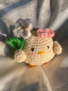 Summer Duck🐥