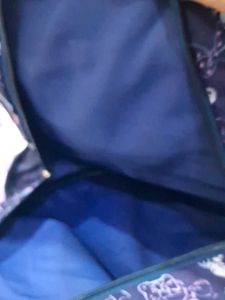 Skybags Backpack