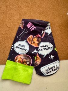 Funky Sock For Your Pet Ft. Cat &amp; Dog