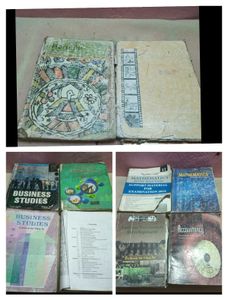 Class 11 Textbooks Bundle